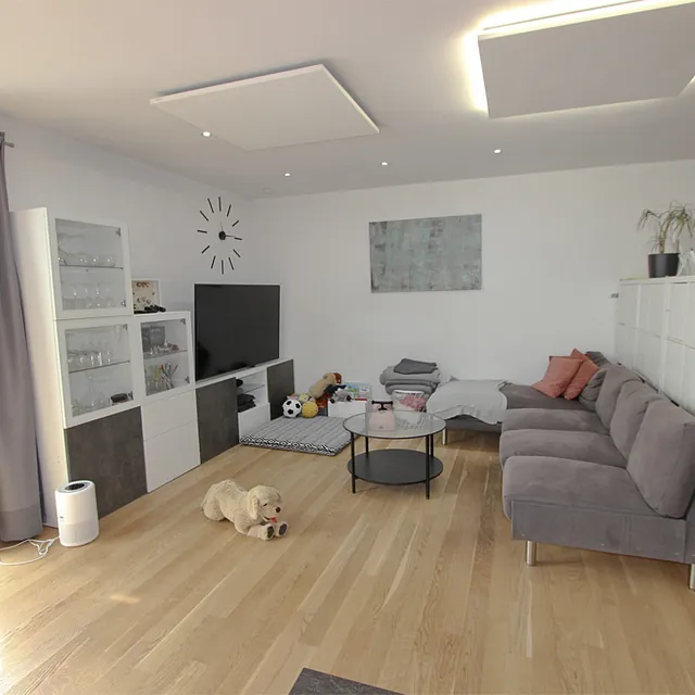 Wohnzimmer mit grauem Ecksofa, Couchtisch, Fernseher, Regalen, Holzboden und Hund auf dem Boden