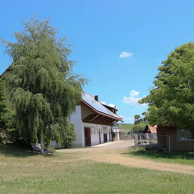 Ländlicher Hof mit weißem Gebäude, Bäumen und unbefestigtem Weg unter blauem Himmel