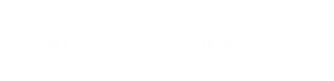 Logo Schneider Immobilien