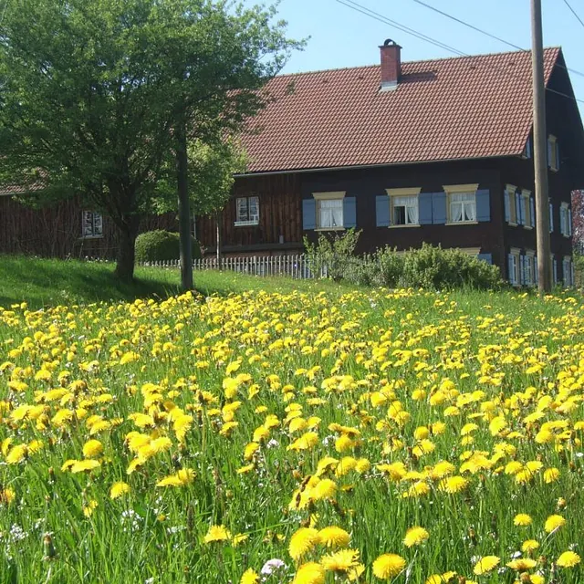 Ein gemütliches Haus mit einem einladenden Dach, umgeben von einer schönen Landschaft.