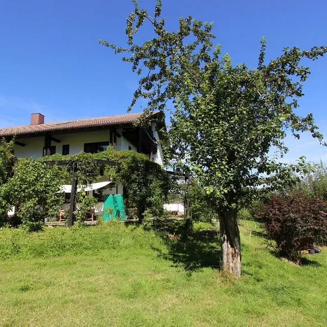  Ein Haus umgeben von einem grünen Rasen und Bäumen, das eine einladende und friedliche Atmosphäre ausstrahlt.